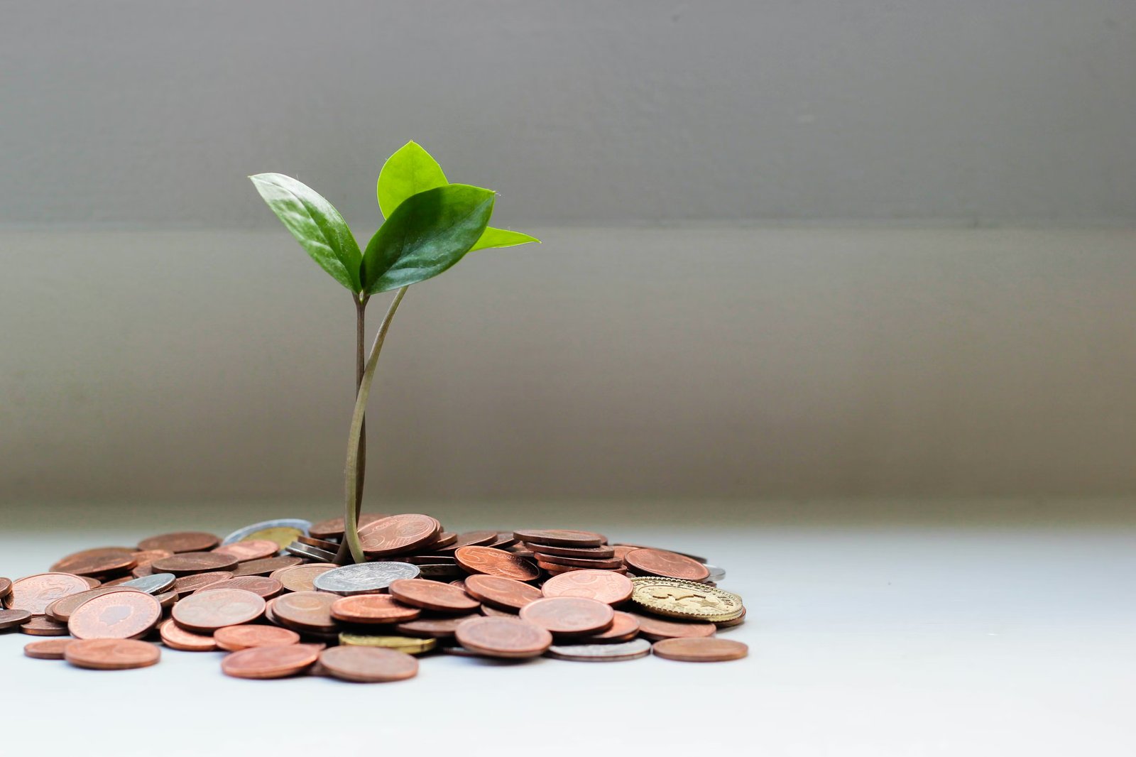 Input Tax Credit Optimization